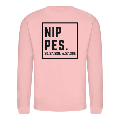 Nippes Koordinaten (großer Druck auf dem Rücken) - Basic Sweatshirt