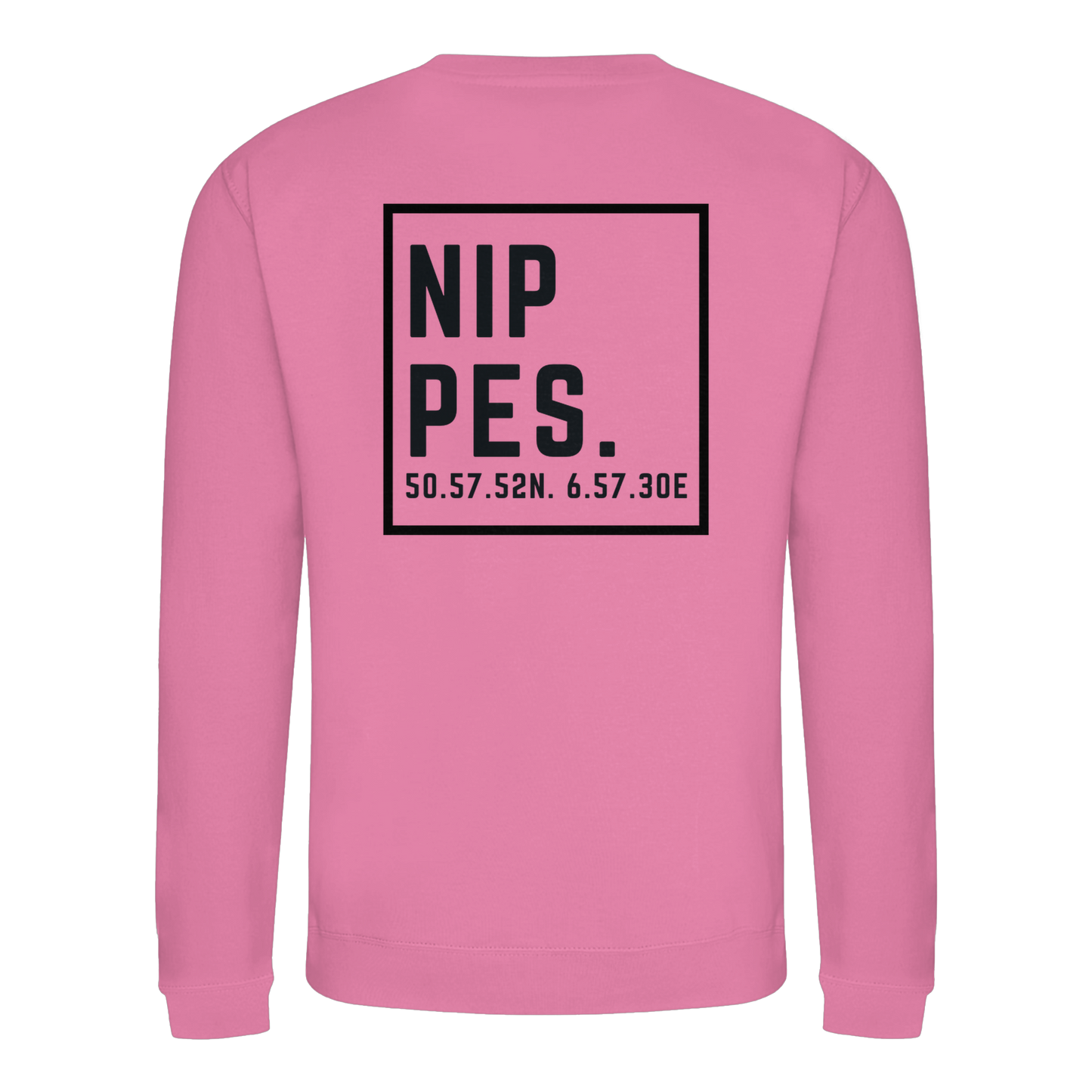Nippes Koordinaten (großer Druck auf dem Rücken) - Basic Sweatshirt