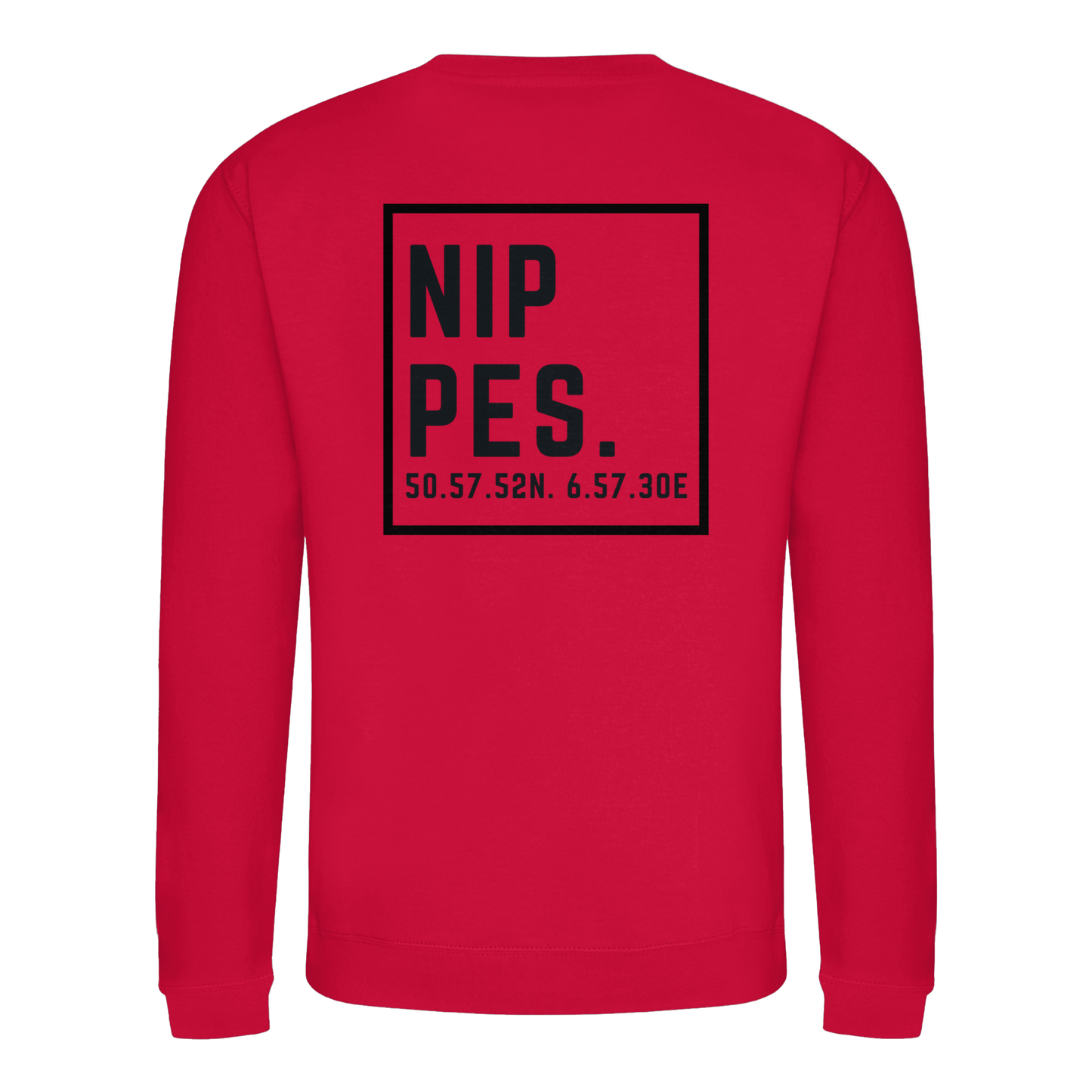 Nippes Koordinaten (großer Druck auf dem Rücken) - Basic Sweatshirt