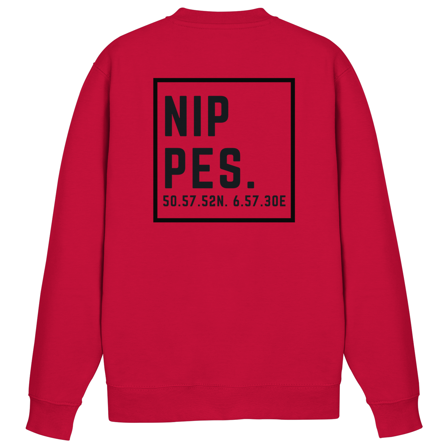 Nippes Koordinaten (großer Druck auf dem Rücken) - Basic Sweatshirt