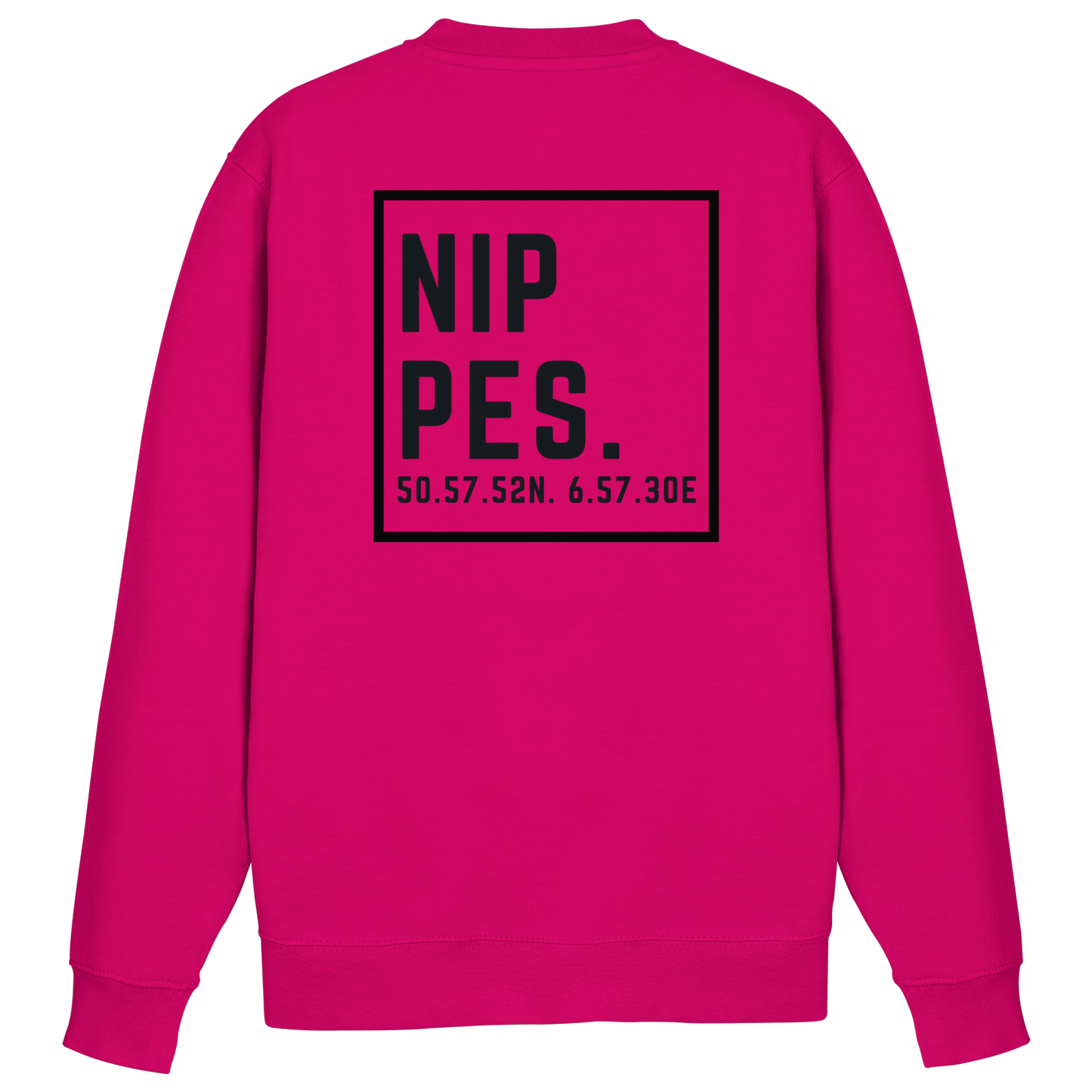 Nippes Koordinaten (großer Druck auf dem Rücken) - Basic Sweatshirt