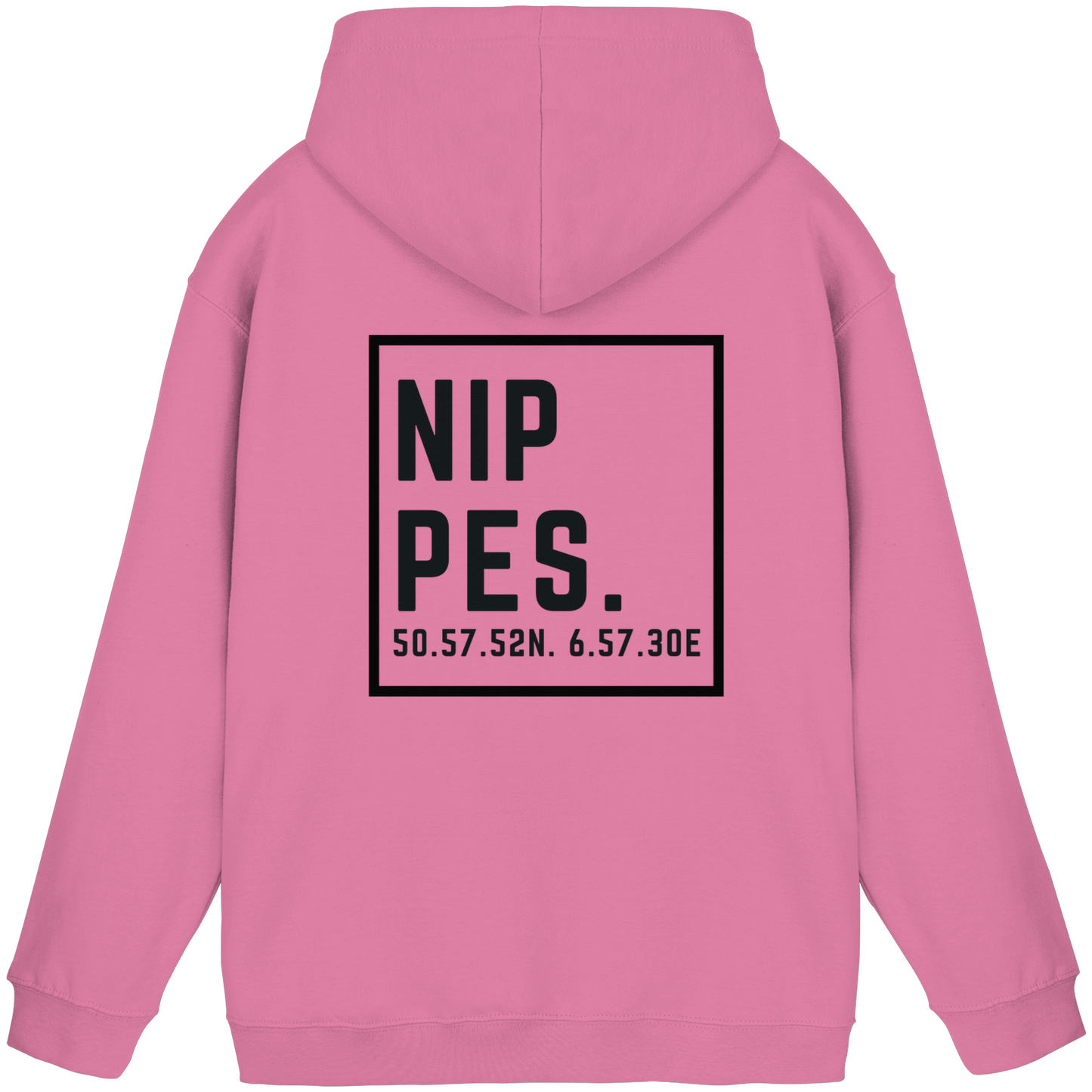 Nippes Koordinaten (großer Druck auf dem Rücken) - Basic Unisex Hoodie