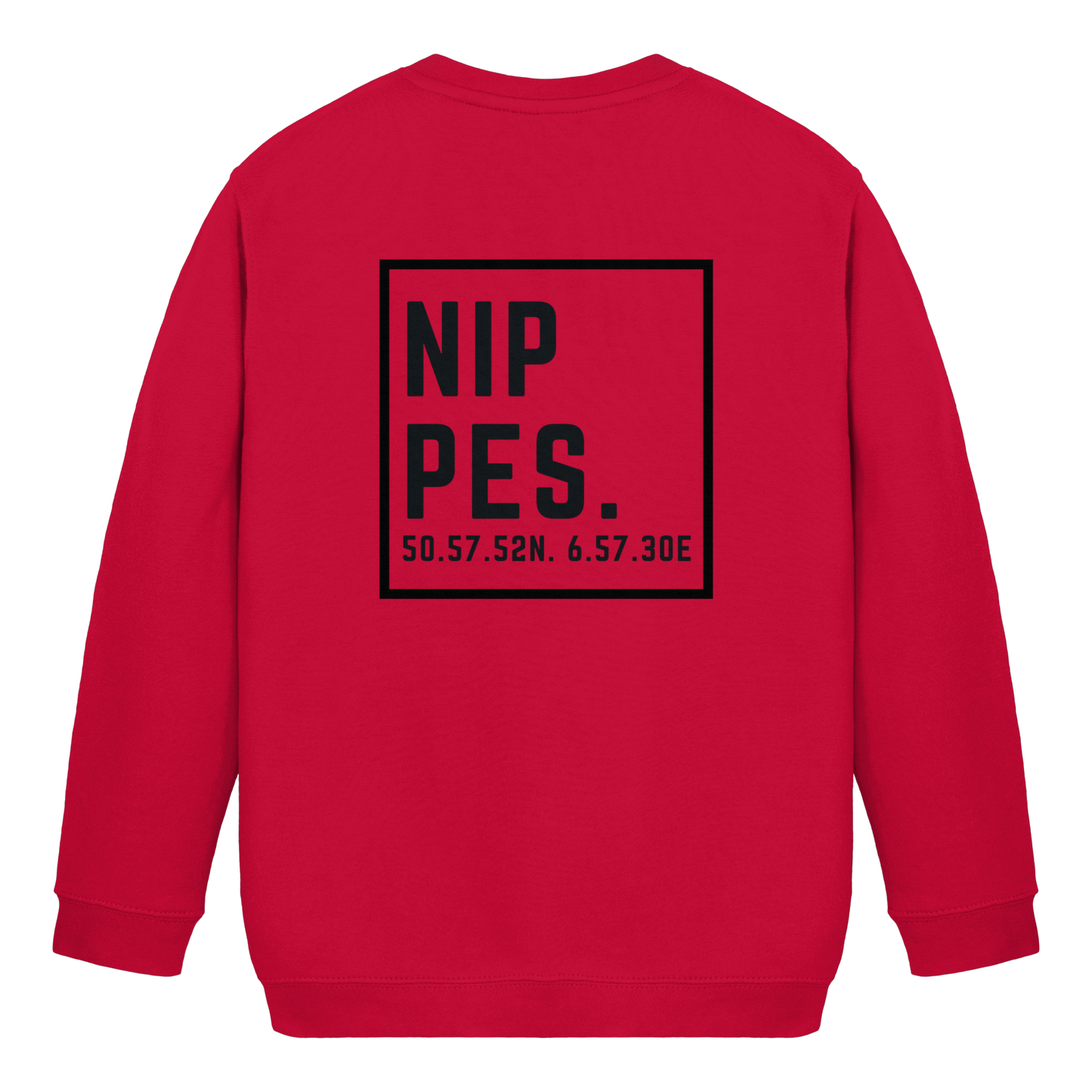 Nippes Koordinaten (großer Druck auf dem Rücken) - Kids Basic Sweatshirt