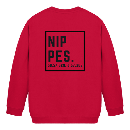 Nippes Koordinaten (großer Druck auf dem Rücken) - Kids Basic Sweatshirt