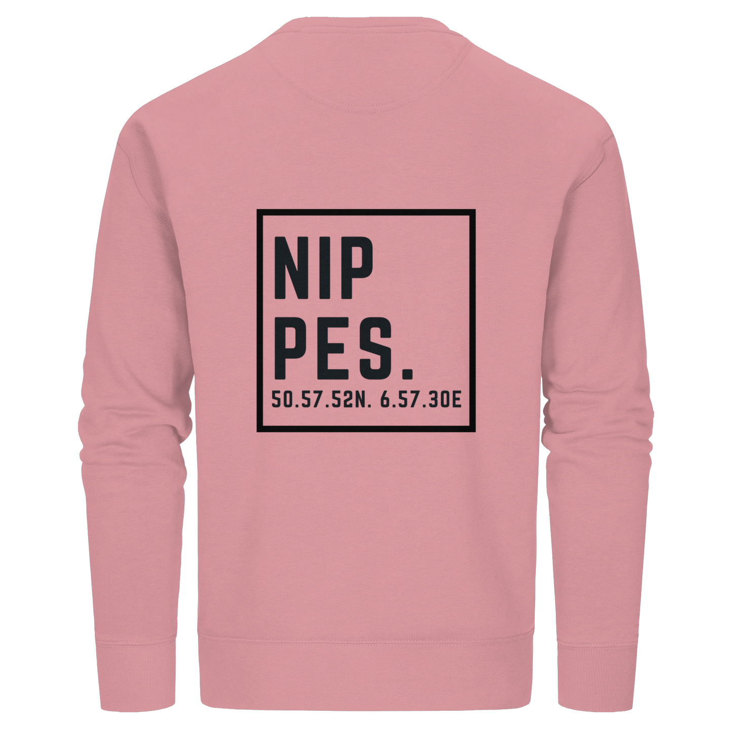 Nippes Koordinaten (großer Druck auf dem Rücken) - Organic Basic Unisex Sweatshirt