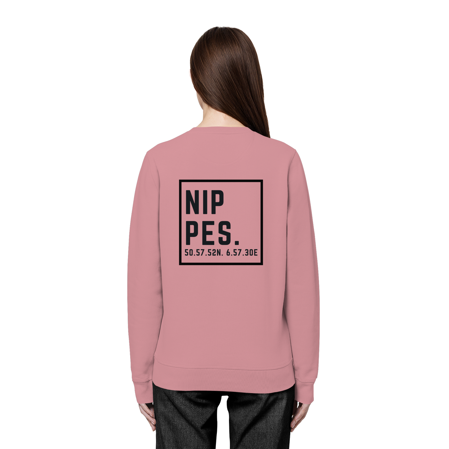 Nippes Koordinaten (großer Druck auf dem Rücken) - Organic Basic Unisex Sweatshirt