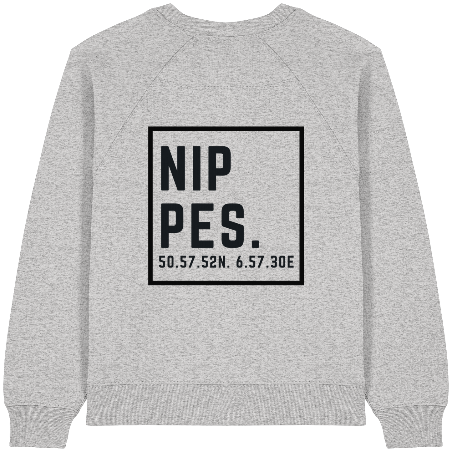 Nippes Koordinaten (großer Druck auf dem Rücken) - Womens Organic Raglan Sweatshirt