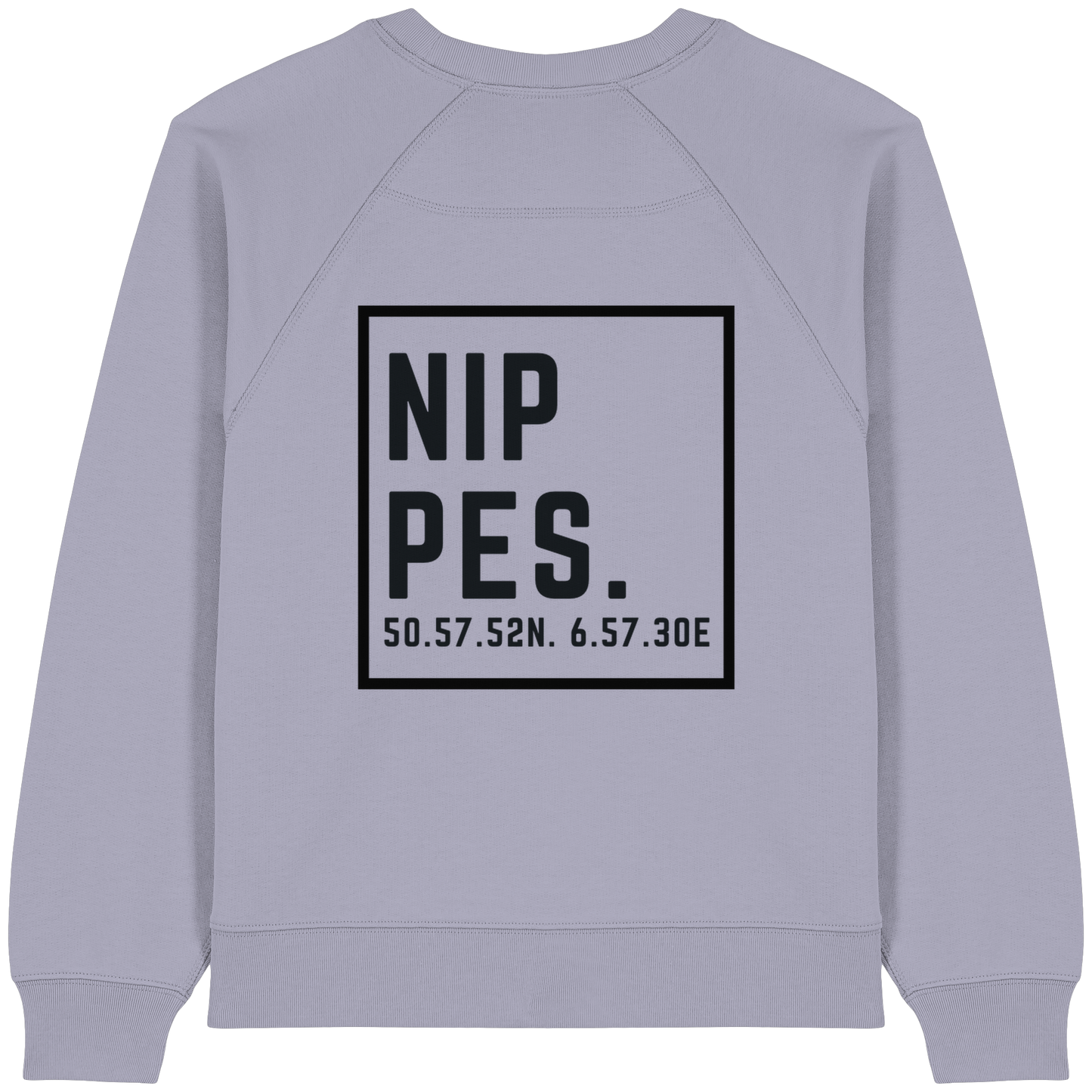 Nippes Koordinaten (großer Druck auf dem Rücken) - Womens Organic Raglan Sweatshirt