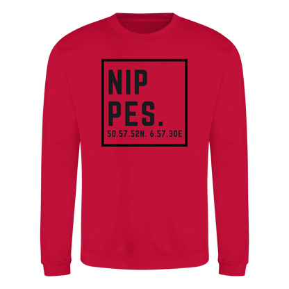 Nippes Koordinaten (großer Druck auf der Brust) - Basic Sweatshirt