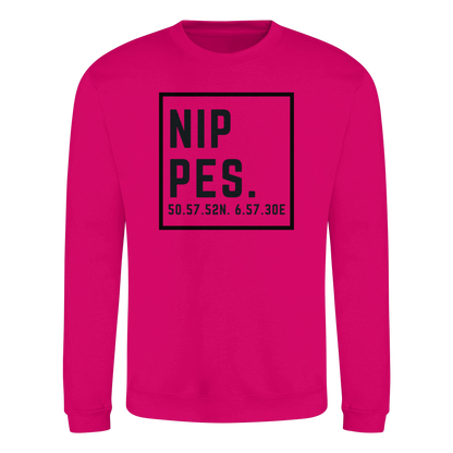 Nippes Koordinaten (großer Druck auf der Brust) - Basic Sweatshirt