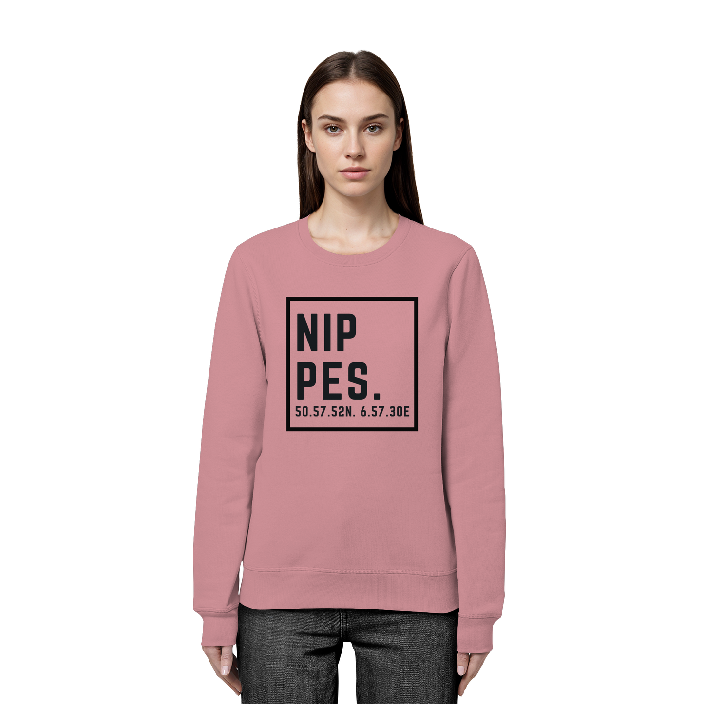 Nippes Koordinaten (großer Druck auf der Brust) - Organic Basic Unisex Sweatshirt
