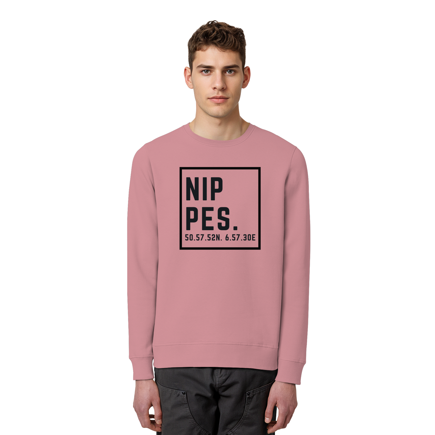 Nippes Koordinaten (großer Druck auf der Brust) - Organic Basic Unisex Sweatshirt