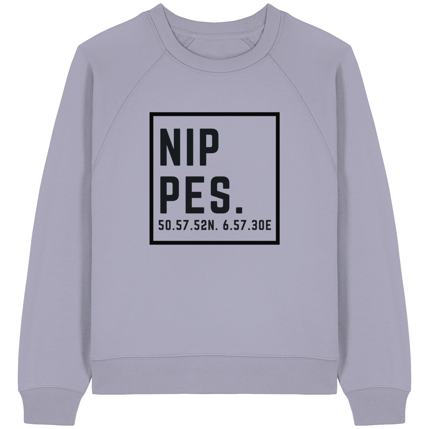 Nippes Koordinaten (großer Druck auf der Brust) - Womens Organic Raglan Sweatshirt